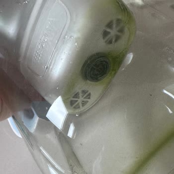 Brita Cam Sürahinin Yosun Sorunu Hayal Kırıklığı Yaratıyor