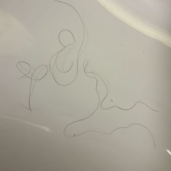 Dyson Airwrap Değişiminde Hijyen Sorunu Ve İletişimsizlik