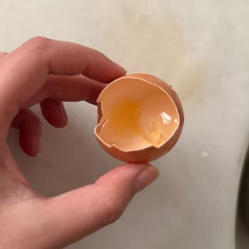 Bozuk Yumurtalarla Gelen Hayal Kırıklığı