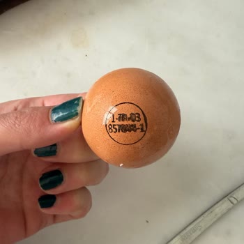 Bozuk Yumurtalarla Gelen Hayal Kırıklığı