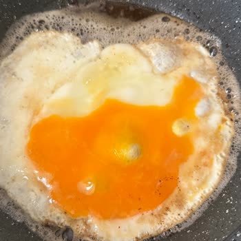 Bozuk Yumurtalarla Gelen Hayal Kırıklığı