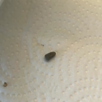 Taşlı Sürpriz: Yayla Salata Mix'te Güvenlik Tehlikesi