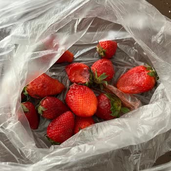 Ezilmiş Çilekler Ve İletişim Sorunları