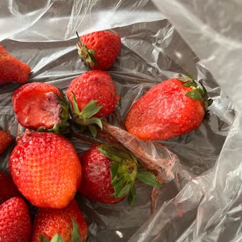 Ezilmiş Çilekler Ve İletişim Sorunları