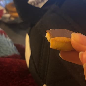 Biscolata Bisküvisinde İstenmeyen Yabancı Madde Şoku