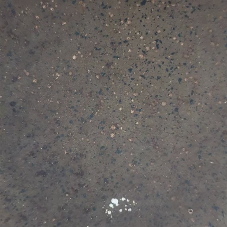 Karaca Granit Tava Sorunu Ve Müşteri Hizmetleri Deneyimi