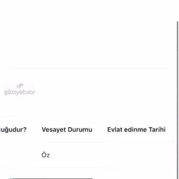 Aile Sosyal Hizmetler Bakanlığı Doğum Parası Başvurusu Onay Kısmında Sorun Oluyor
