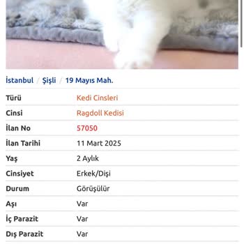 Patibul.com Üzerinde asılsız İlanlar Ve Yanıltıcı İşlemler!