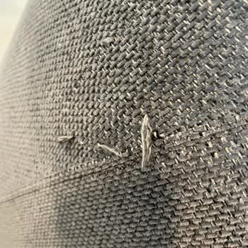 Pati Dostu Koltuklar Kedimize Dayanamadı