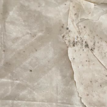 Küflü Yufka Ve Sürekli Sorunlar: Getir Ve Panery'ye Güvenim Kalmadı