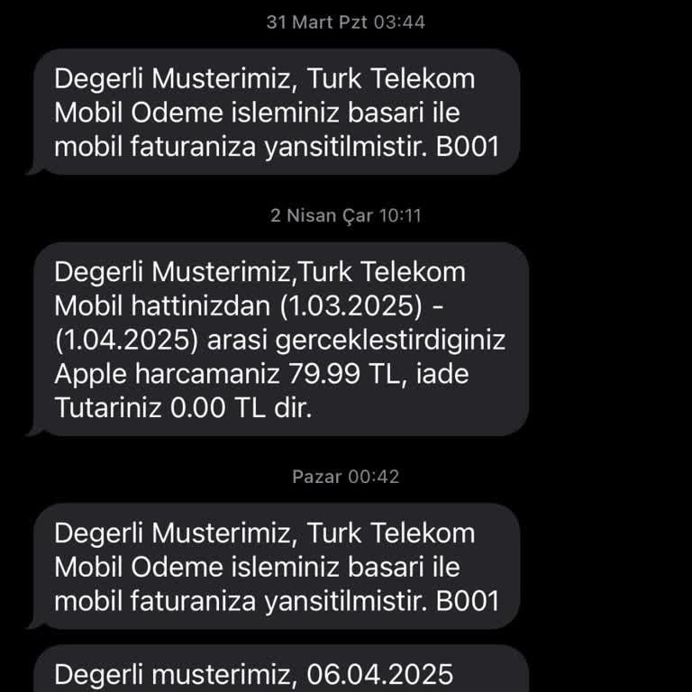 Meta Mavi Tik Sorunu: Beklenen Onay Gelmedi