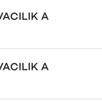 Ücretli Check-in İptali Ve Koltuk Karmaşası