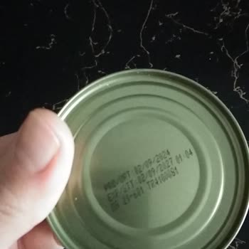 Kedi Mamasında Beklenmedik Sert Maddeler