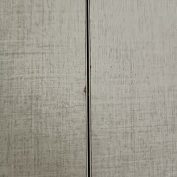 Bellona Mobilya'da Kalite Sorunu Ve Müşteri Hizmetleri Hayal Kırıklığı