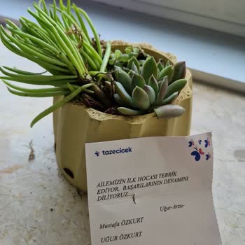 Kırık Teraryum Ve İade Sorunu