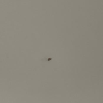 Yaman Mobilya İle Hayal Kırıklığı: Eksik Ve Sorumsuz Hizmet