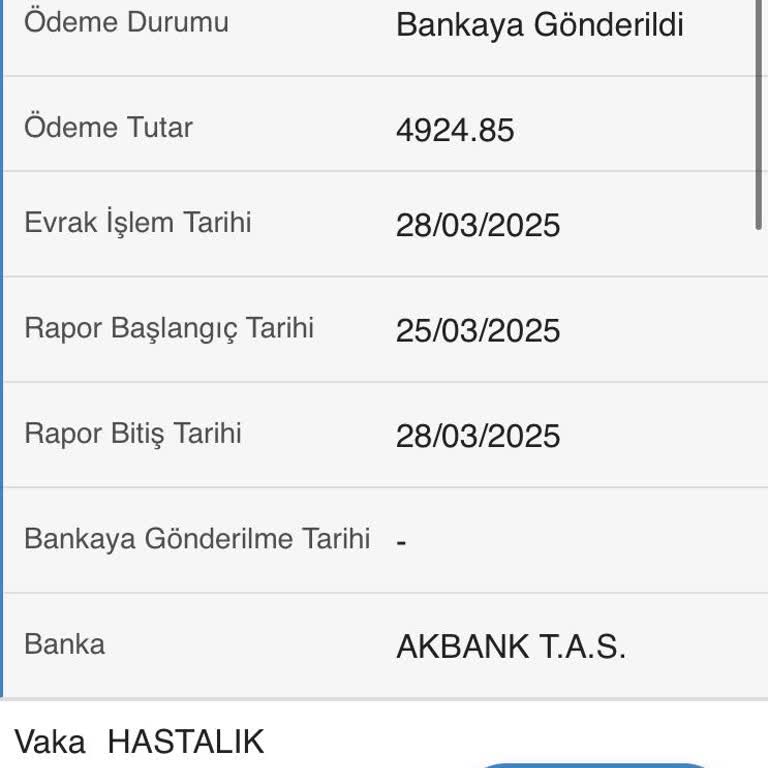 E-Devlet Rapor Parası Sorunu