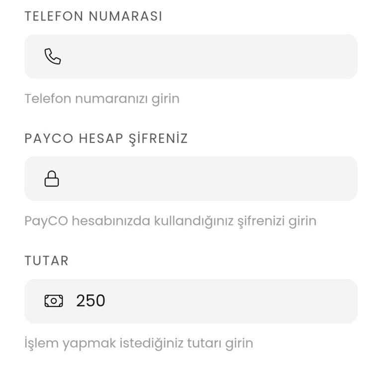 Payco Hesabında TRS Hatası Ve Para Transferi Sorunu