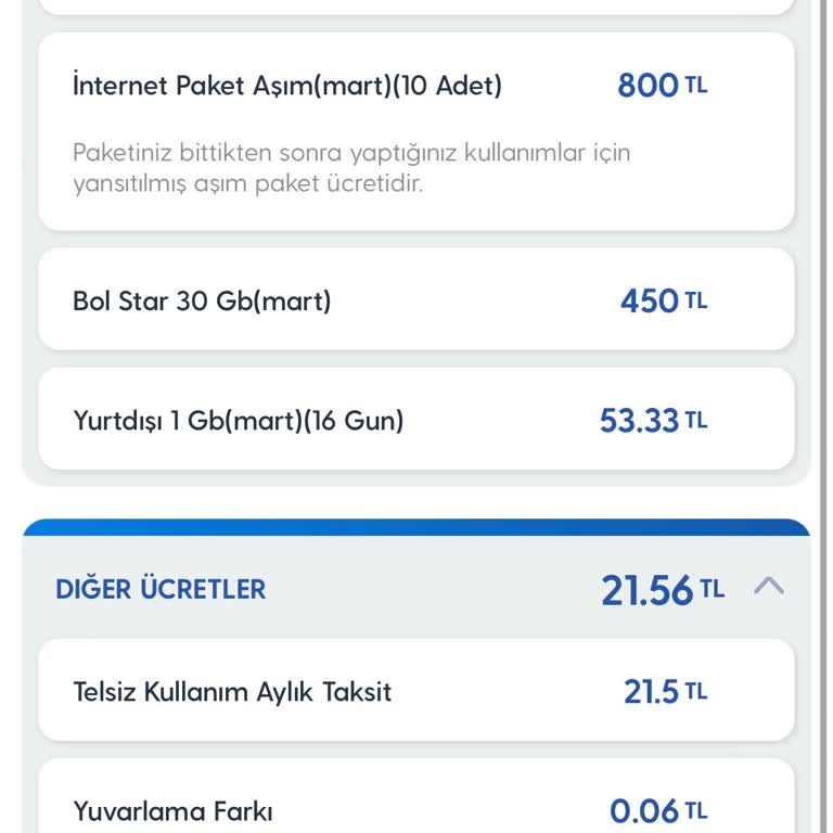 Yurt Dışı Seyahatinde Beklenmedik İnternet Aşım Ücreti Şoku