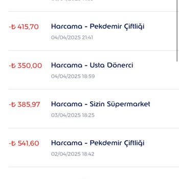 Kart Bakiyemdeki Gizemli Kayıp