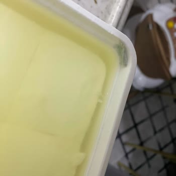 Bahçıvan Peynirde Küf Şoku