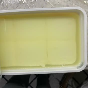 Bahçıvan Peynirde Küf Şoku