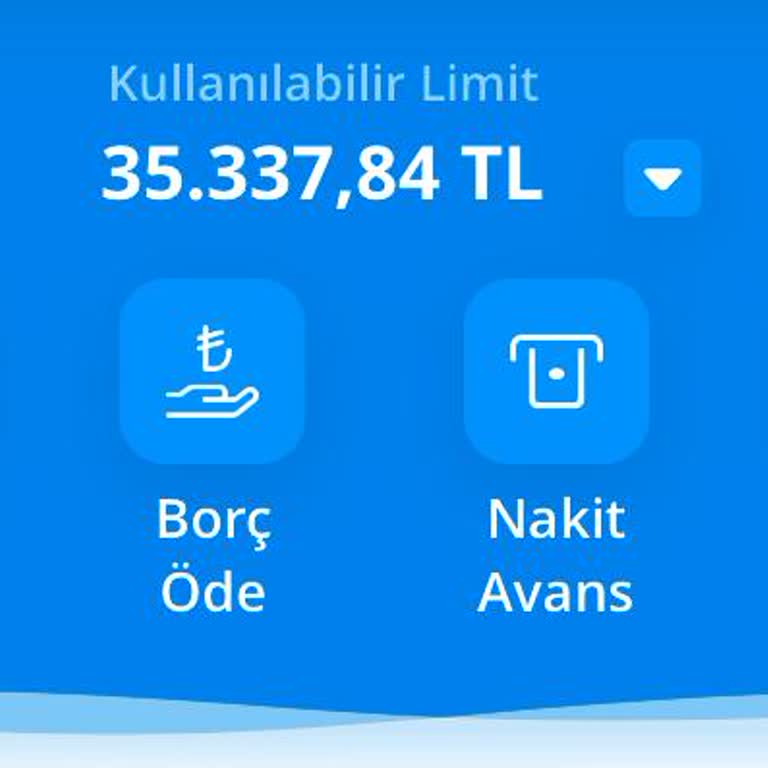 Ödenen Borca Rağmen Kart Blokesi Sorunu