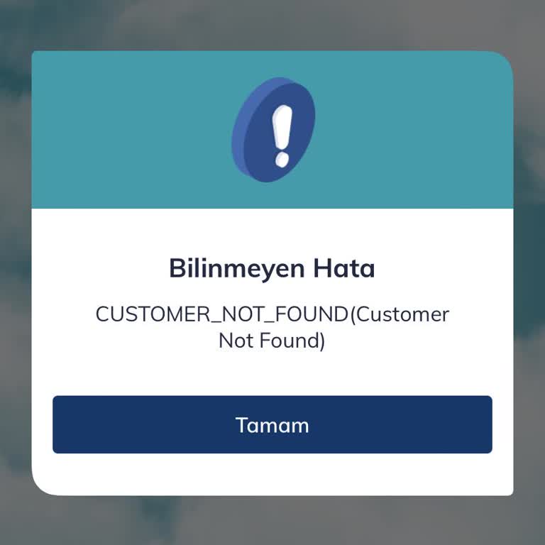 Sil Süpür Uygulaması Erişim Sorunu Ve Müşteri Hizmetleri Desteği