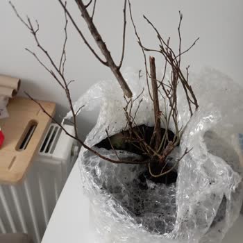 Hayal Kırıklığı Yaratan Alışveriş: Yanıltıcı Ürün Ve İletişim Eksikliği