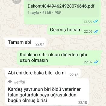 Köpek Satın Alma Sürecinde Yaşanan Mağduriyet