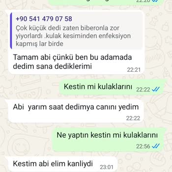 Köpek Satın Alma Sürecinde Yaşanan Mağduriyet