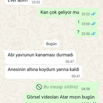 Köpek Satın Alma Sürecinde Yaşanan Mağduriyet
