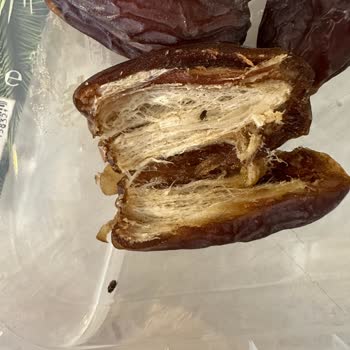 Harras Hurma Paketlerinde Böcek Sorunu