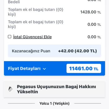Fiyat Dalgalanmasıyla Mağduriyet: Bilet Alımında Adil Fiyat Beklentisi