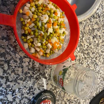 Garnitür Ürününde Böcek Şoku