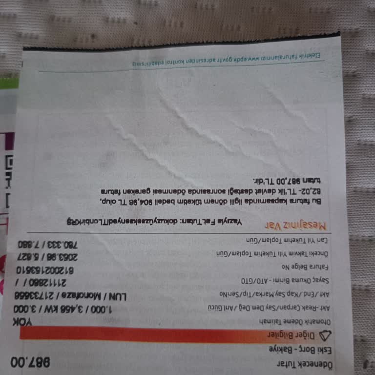 Devlet Desteği Mi, Yanlış Fatura Mı?