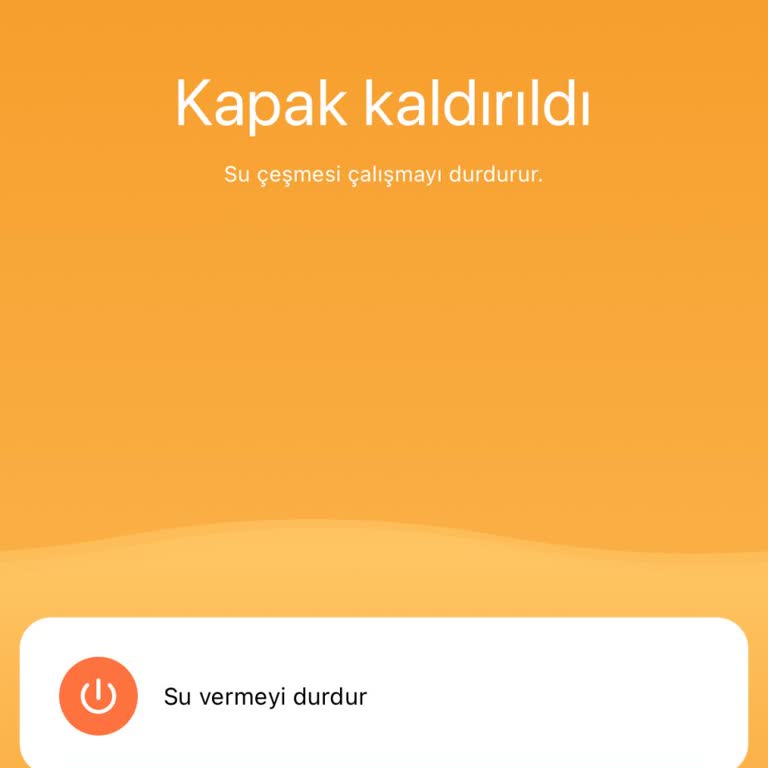 Xiaomi Su Pınarı: Sürekli Hata Veren Ürün