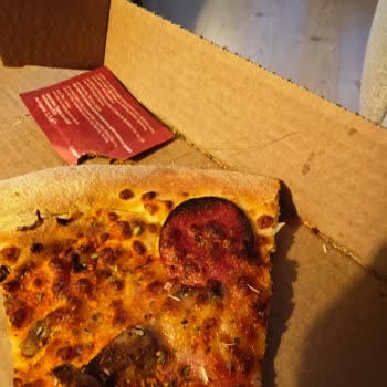 Domino's Pizza'da Hijyen Skandalı
