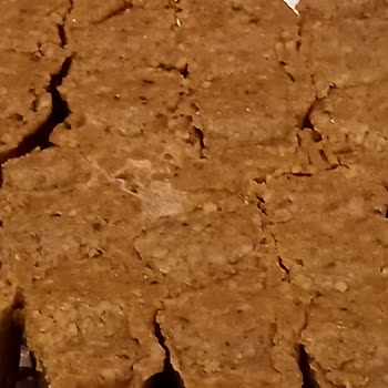 Bozuk Ürün Skandalı: Sağlık Tehlikesi!