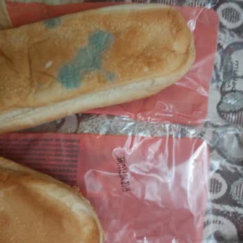BİM'den Alınan Sandviç Ekmeğinde Küf Sorunu