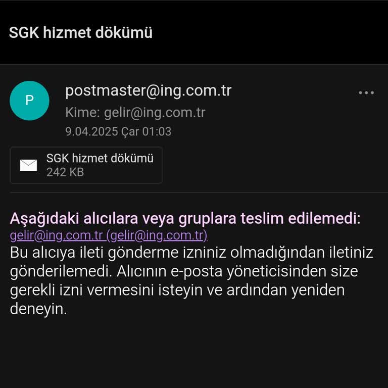 Gelir Belgesi Gönderim Sorunu