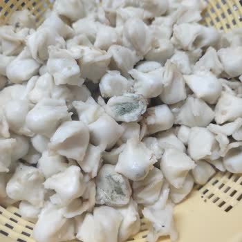 Mağazadan Aldığımız Ürün Küflendi!