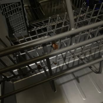 Sürekli Sinyal Veren Ve Paslanan Bulaşık Makinesi Sorunu