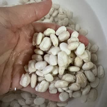 Bozuk Kuru Fasulye Hayal Kırıklığı