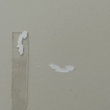 Yemek Masası Kalitesi Ve Müşteri Hizmetleri Sorunu