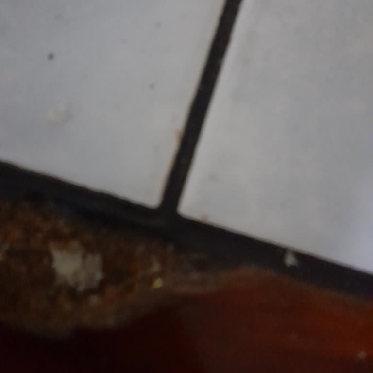 Hesabımdan İzinsiz Para Çekilmesi Ve Müşteri Hizmetlerinin İlgisizliği