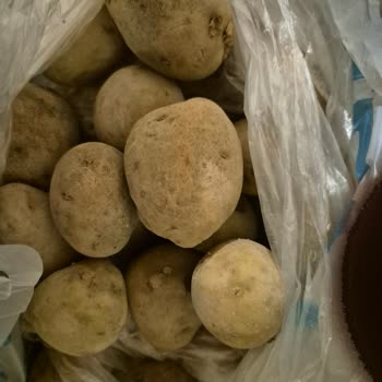 A101 Kapıda Siparişinde Hayal Kırıklığı