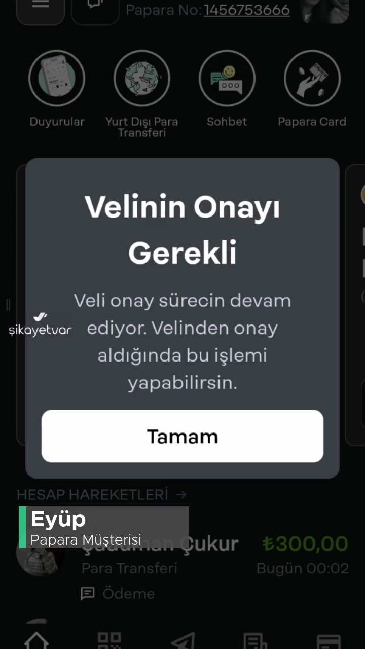 Papara Veli Onay Sorunu videonun kapak resmi