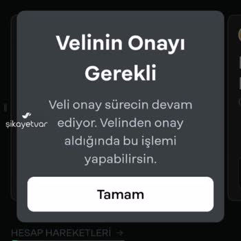 Papara Veli Onay Sorunu