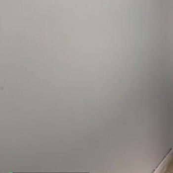 Dyo Boya 7548 Açık Gri Olan Boya Duvarda Rengi Mavi Çıktı
